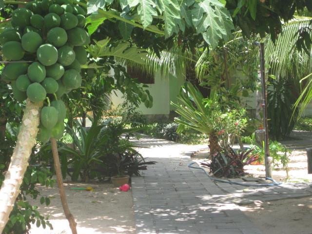 Cocosand Hotel Phan Thiet Eksteriør bilde