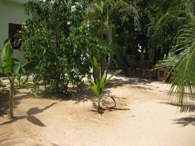 Cocosand Hotel Phan Thiet Eksteriør bilde