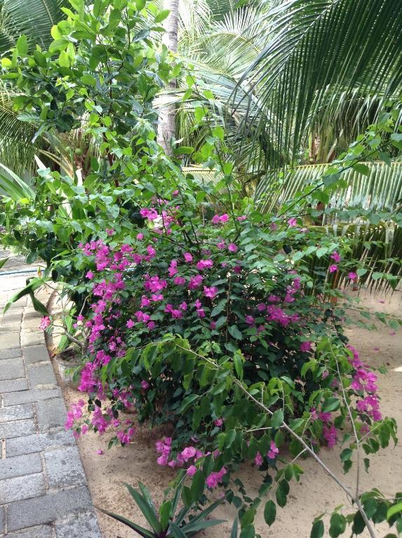Cocosand Hotel Phan Thiet Eksteriør bilde