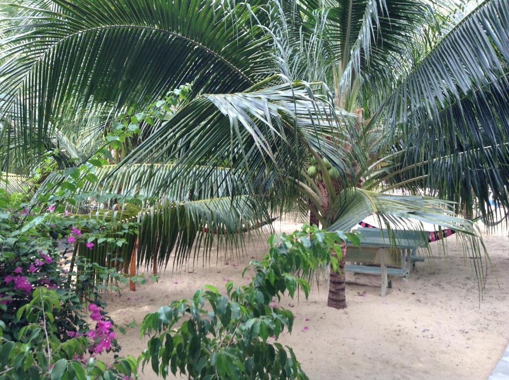 Cocosand Hotel Phan Thiet Eksteriør bilde
