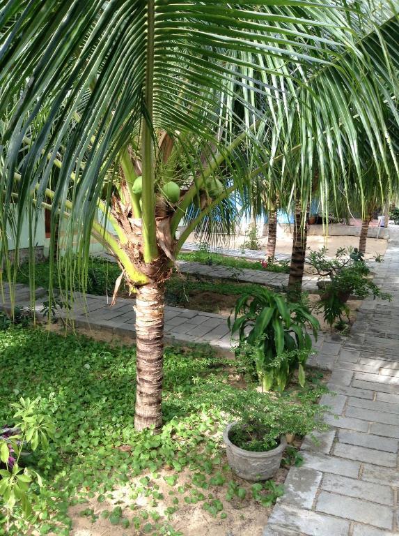 Cocosand Hotel Phan Thiet Eksteriør bilde