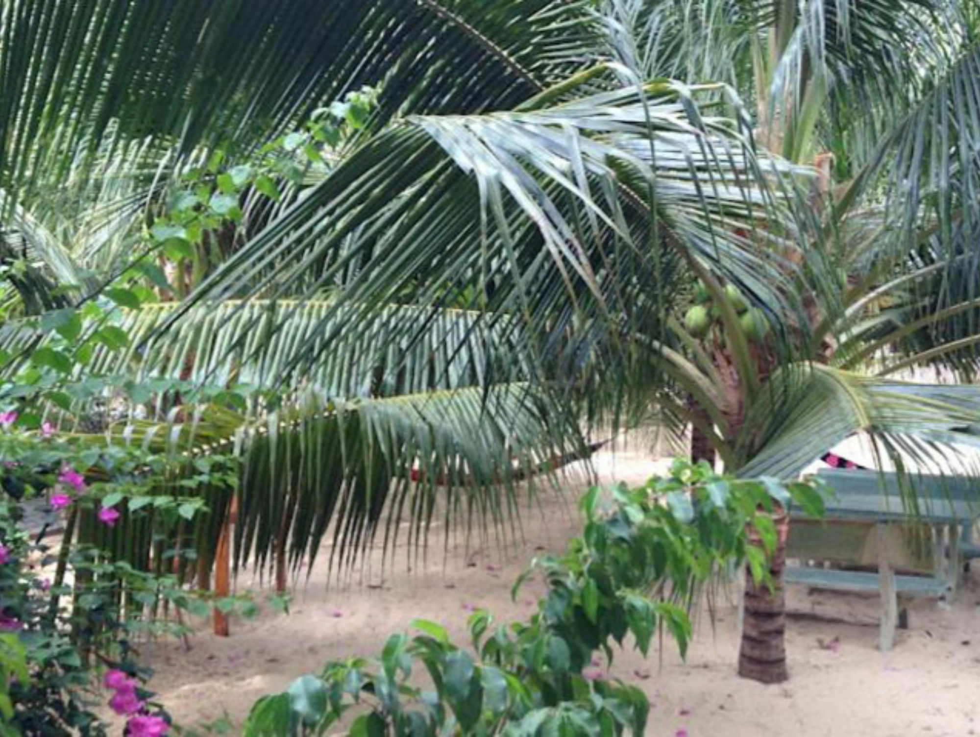 Cocosand Hotel Phan Thiet Eksteriør bilde