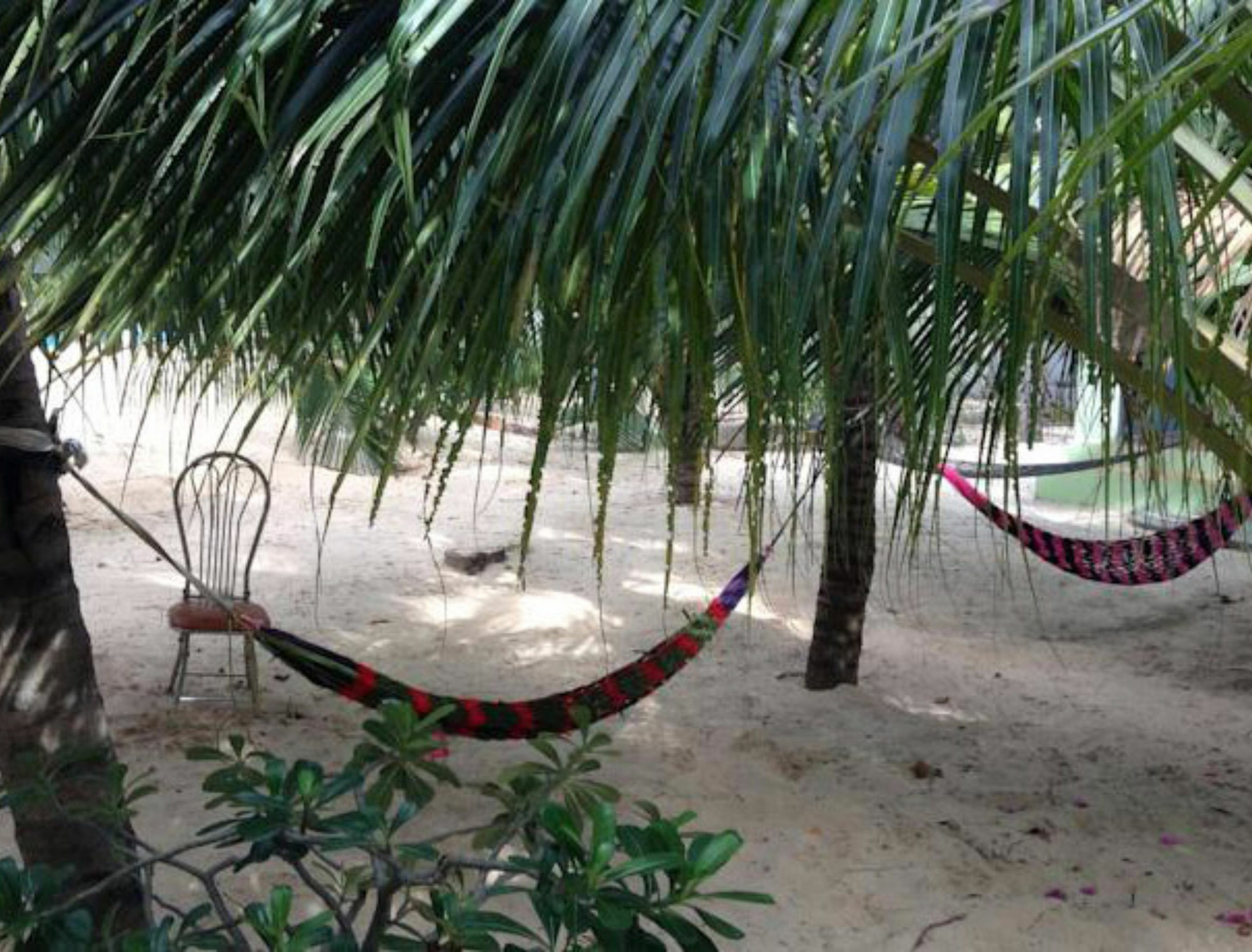 Cocosand Hotel Phan Thiet Eksteriør bilde